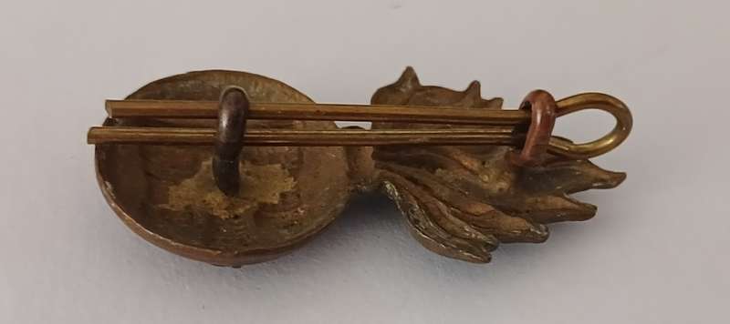 ROYAL INNISKILLING FUSILIERS IRISH REGIMENT BADGE               C18