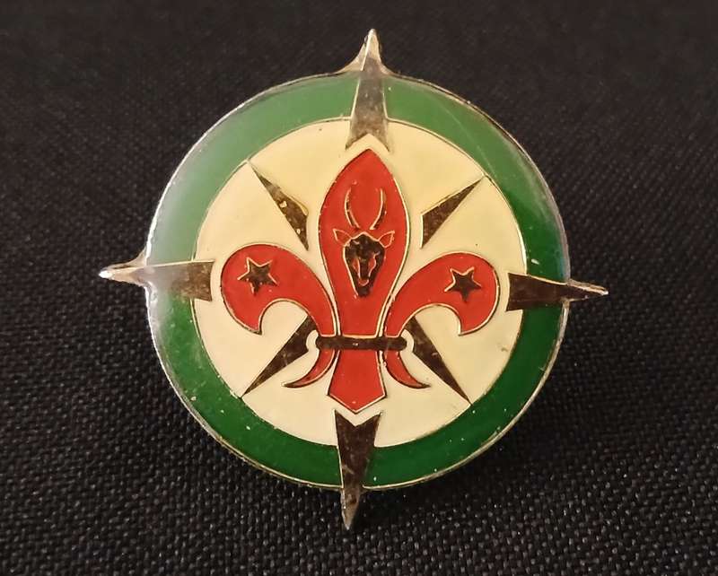SOUTH AFRICA BOY SCOUTS ENAMEL  BADGE                C27