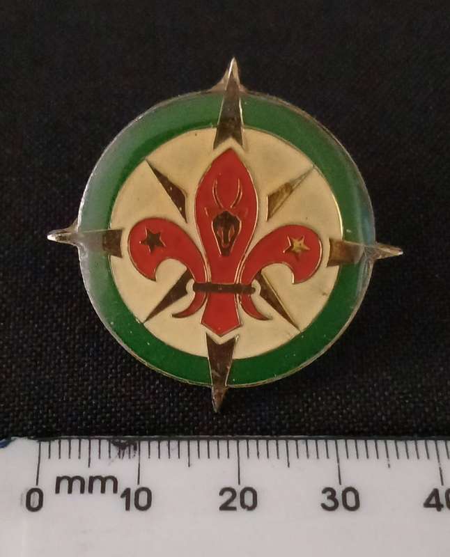 SOUTH AFRICA BOY SCOUTS ENAMEL  BADGE                C27