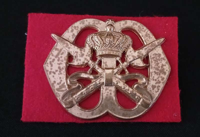 DUTCH ARMY ROYAL MILITARY SCHOOL CAP BADGE                  C55