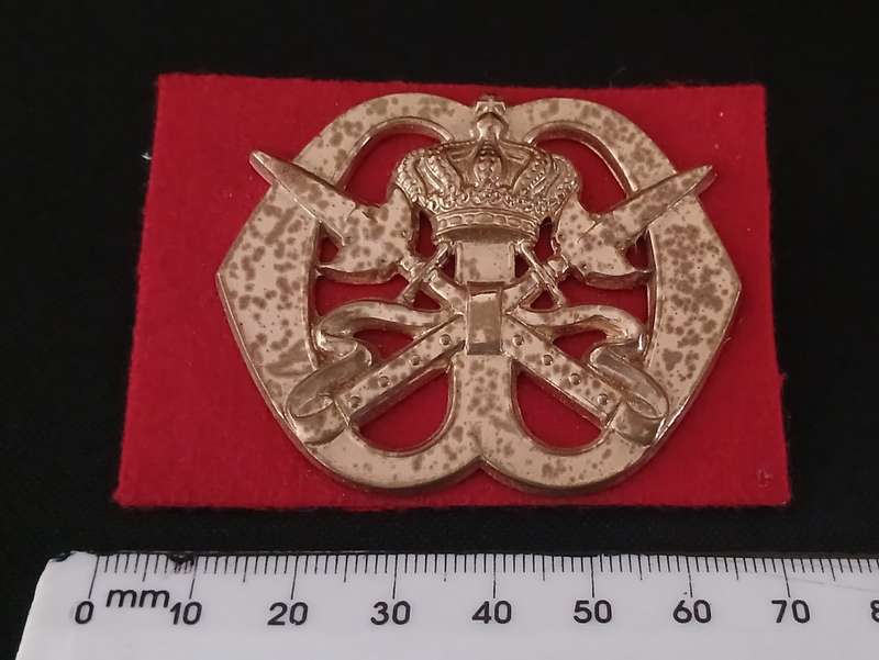 DUTCH ARMY ROYAL MILITARY SCHOOL CAP BADGE                  C55