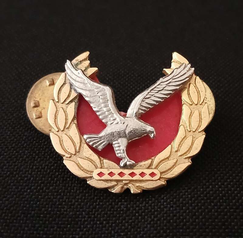 NAMIBIAN POLICE WARRANT OFFICER RANK BADGE WITH BACKING      ` SCARCE `              C67