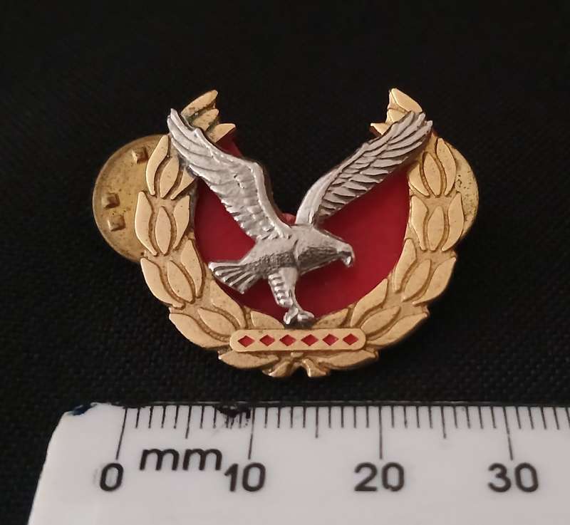 NAMIBIAN POLICE WARRANT OFFICER RANK BADGE WITH BACKING      ` SCARCE `              C67