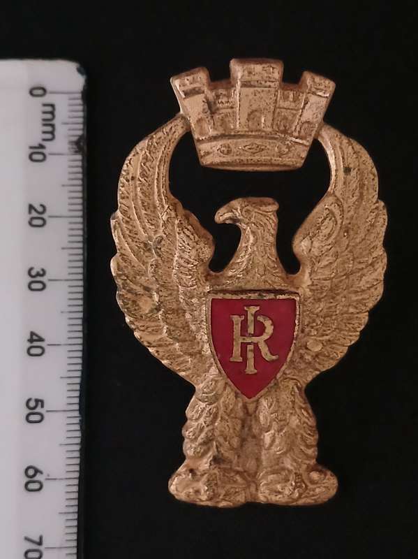 ITALIAN MILITARY STATO POLICE   70`S    80`S  STATE BADGE   ( NOTE ONE PIN )          C71
