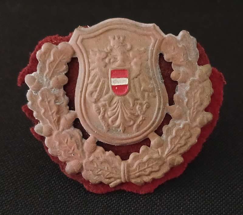 AUSTRIA FEDERAL POLICE ( BUNDESPOLIZEI ) CAP BADGE                C73