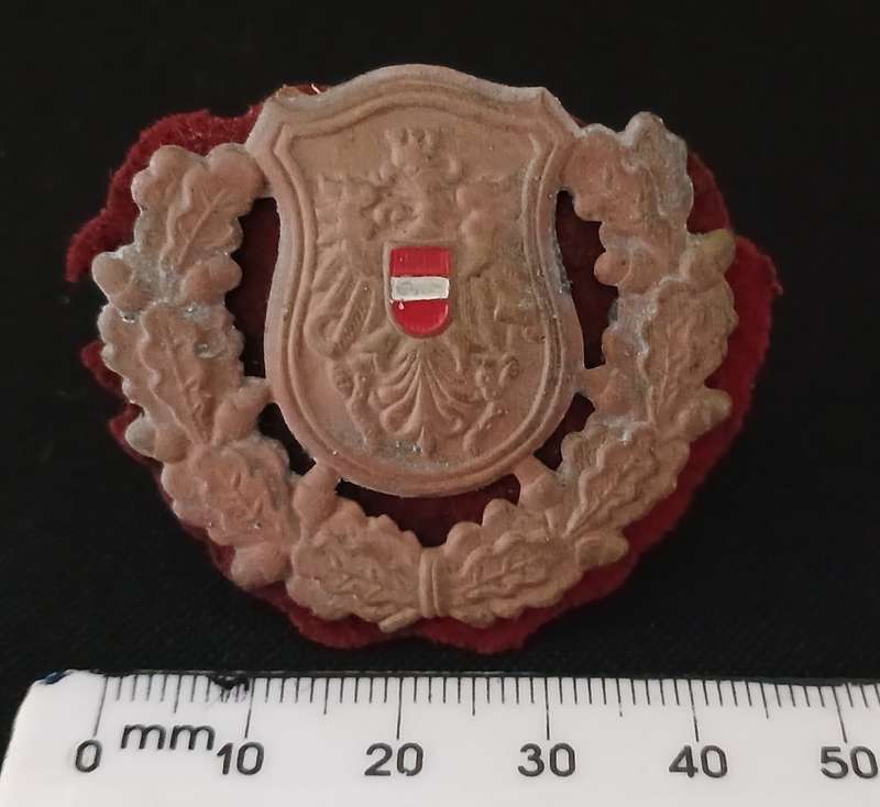 AUSTRIA FEDERAL POLICE ( BUNDESPOLIZEI ) CAP BADGE                C73
