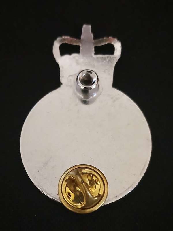 DORSET POLICE CAP BADGE                              C80