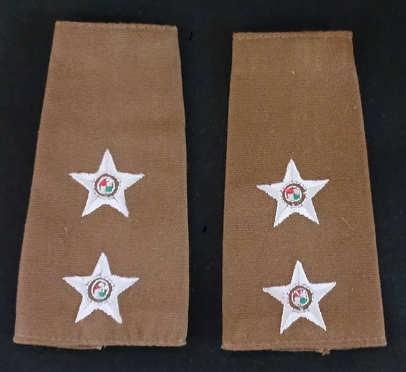 SADF LIETENANT EPAULETTE PAIR                           L10