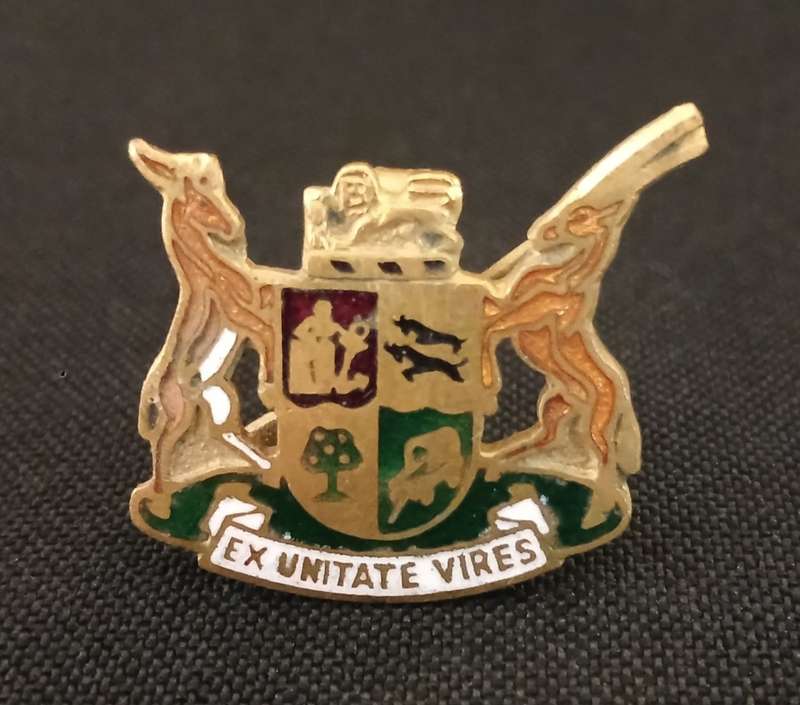 SA RAILWAY SERVICE CAP BADGE      ( GOLD COLOUR )                 C97