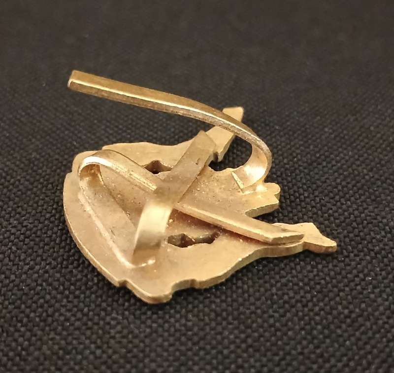 SA RAILWAY SERVICE CAP BADGE      ( GOLD COLOUR )                 C97