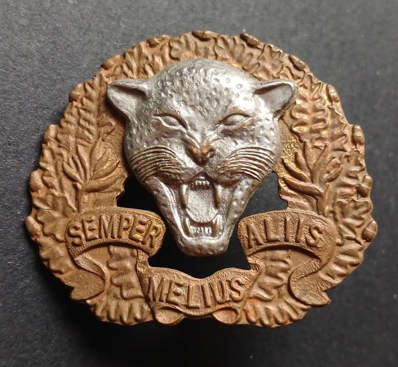 SADF 6 SA. INFANTRY TRAINING UNIT CAP BADGE  ` BI-METAL `                       C119