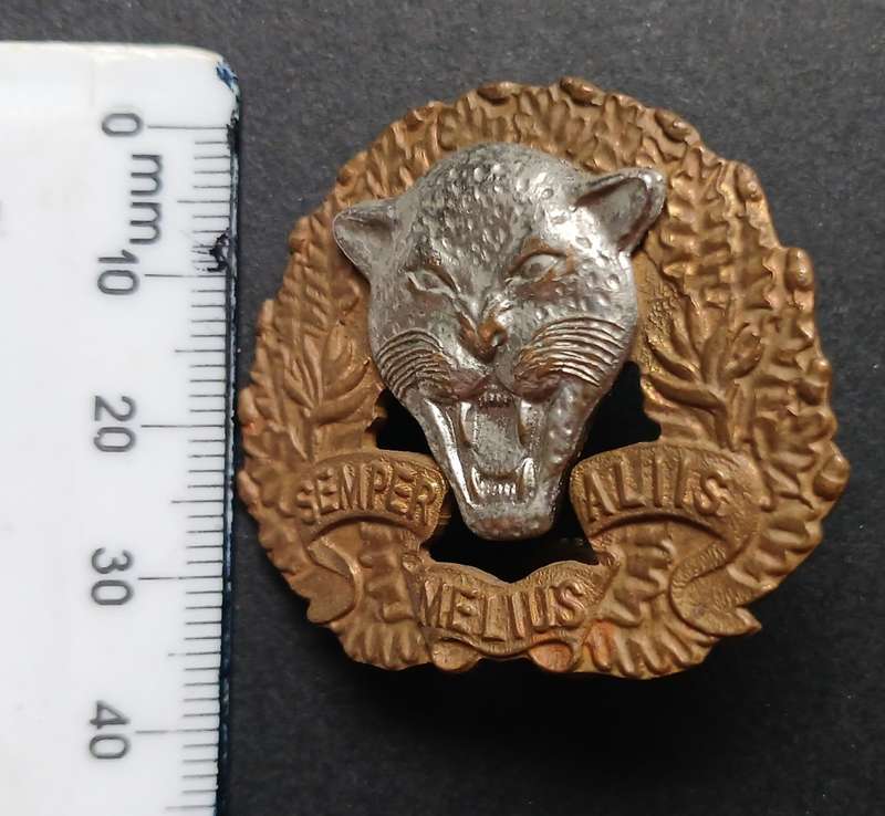 SADF 6 SA. INFANTRY TRAINING UNIT CAP BADGE  ` BI-METAL `                       C119