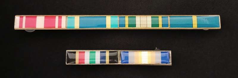SAP MEDAL RIBBON BARS ( ONE BID FOR BOTH )                           K6