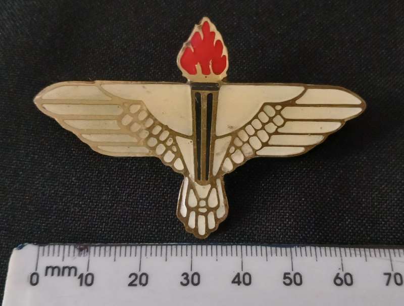 SADF 44 PARACHUTE BRIGADE PATHFINDER PLATOON BADGE ( Note Pins Repaired )    K25