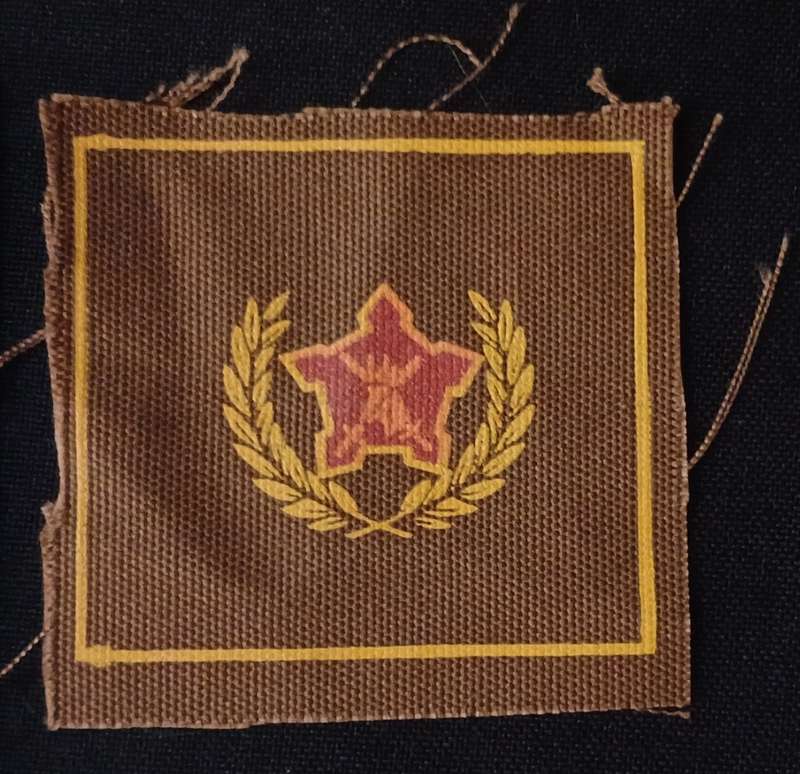 SA ARMY CITIZEN CLOTH BADGE                               K27