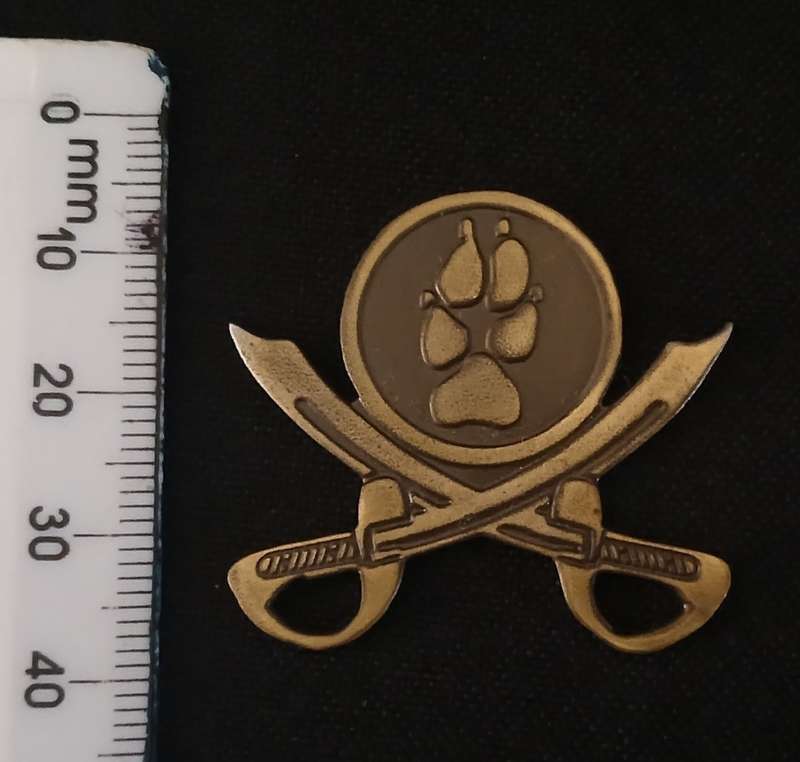 SAP TRACKER PTI INSTRUCTOR METAL BADGE                         R39