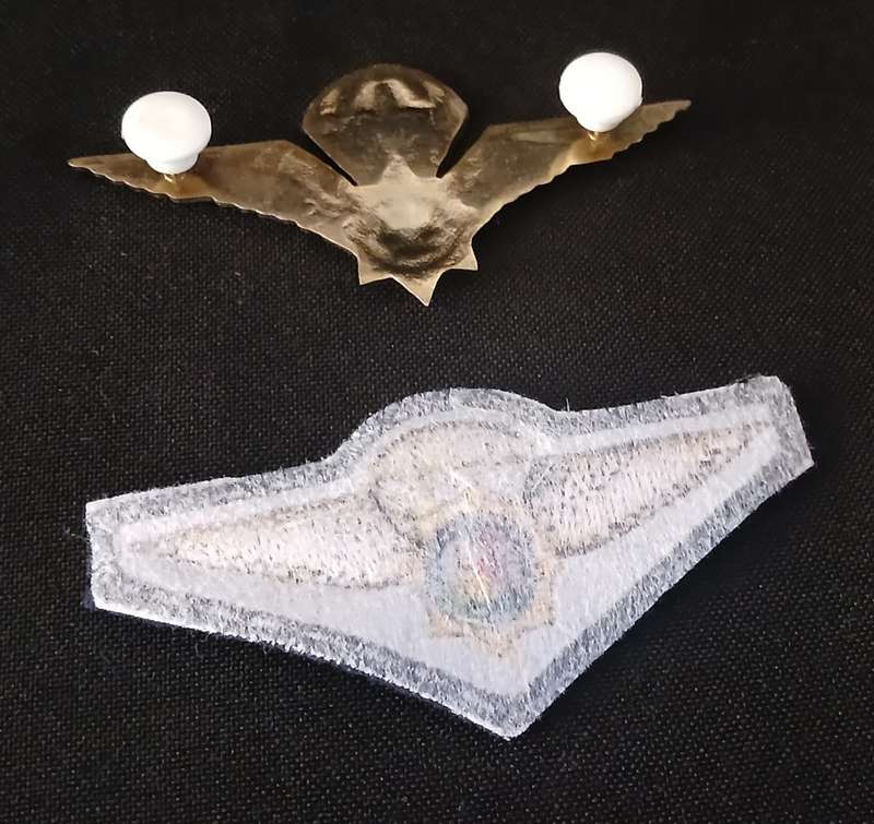 Special Task Force Cloth Wing ( Blue Field Dress ) & Metal Wing  ` OLD COAT OF ARMS `           R42
