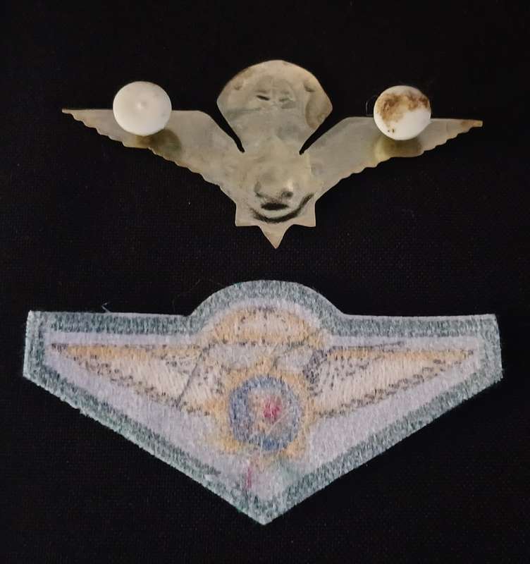 SAP Special Task Force Cloth Para Wings ( Dark Green ) & Metal Wing OLD COAT OF ARMS   R43