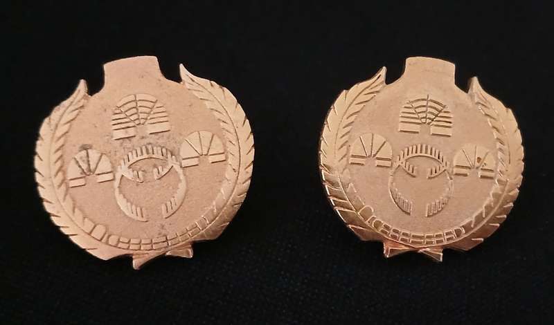 KWAZULU PRISON COLLAR BADGES   ( Note 2 Pins Repaired )   ` SCARCE `     R60