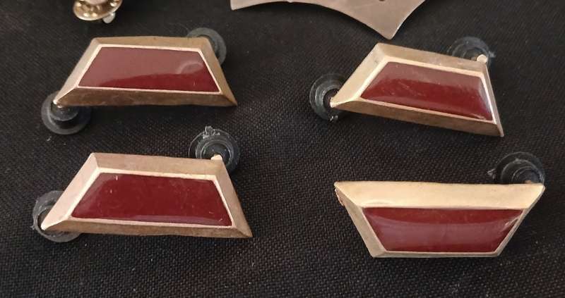 UNKNOWN MILITARY RANKS      ` One Pin Missing `               R73