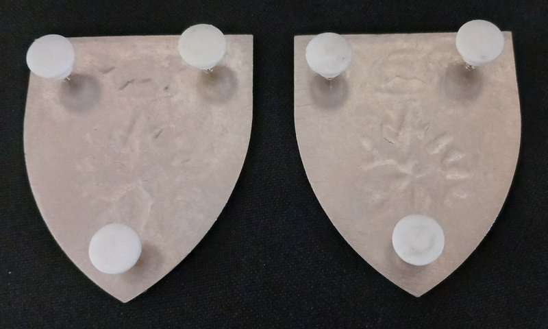 SADF 5 RECCE REGIMENT SHOULDER FLASH PAIR                                      R83