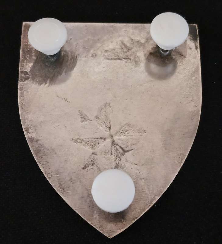 4 Special Forces Regiment Shoulder Flash                          R84