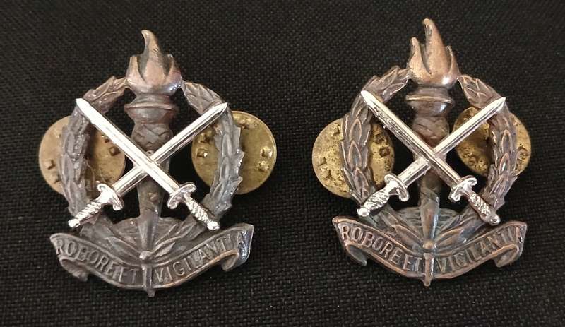 REGIMENT SKOONSPRUIT / REGIMENT SCHOONSPRUIT COLLAR BADGES                   R77