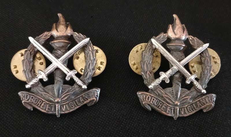 REGIMENT SKOONSPRUIT / REGIMENT SCHOONSPRUIT COLLAR BADGES R79