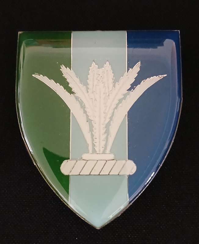 SADF SWA. SECTOR 10 SIGNAL SQUADRON SHOULDER FLASH  ( Light Blue Middle )            MM5