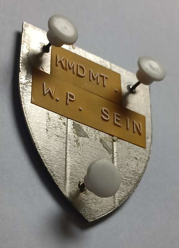 SADF Western Province Signal Unit Shoulder Flash ( Gold Line Round White Mountain )          MM8