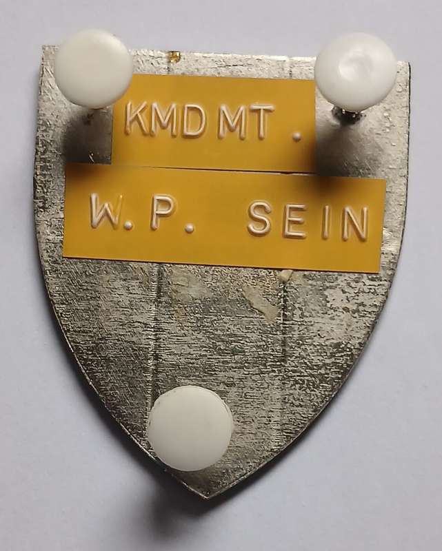 SADF Western Province Signal Unit Shoulder Flash ( Gold Line Round White Mountain )          MM8