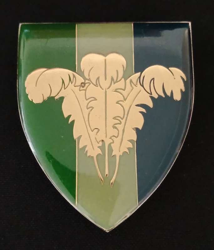 SADF Southern Cape Signal Unit Shoulder Flash         MM12