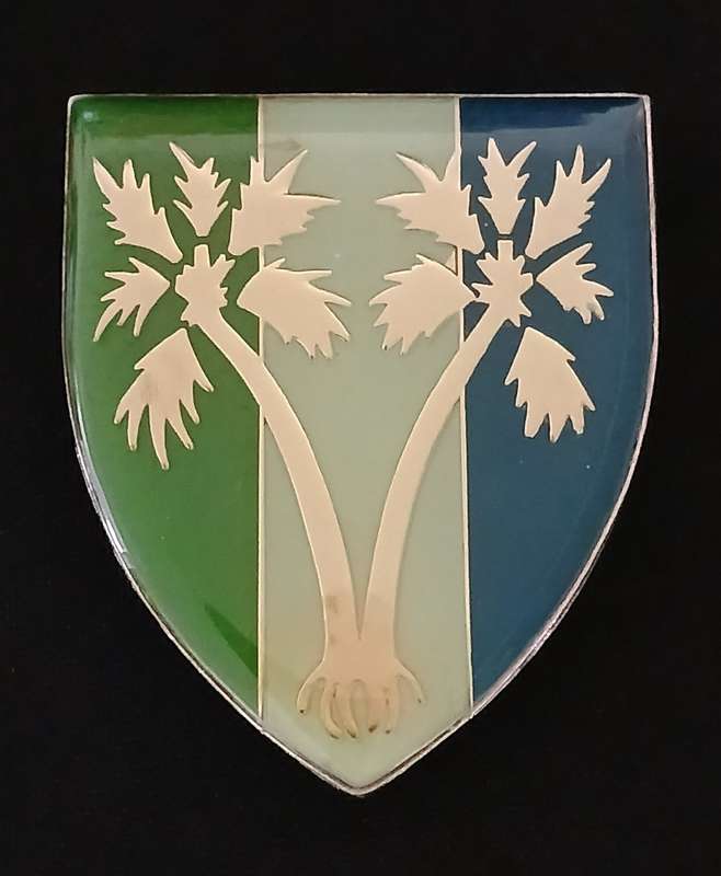 SADF 6 Signal Regiment Shoulder Flash                MM16