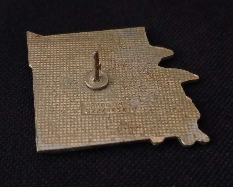 ZYMA PIN BADGE                        R92