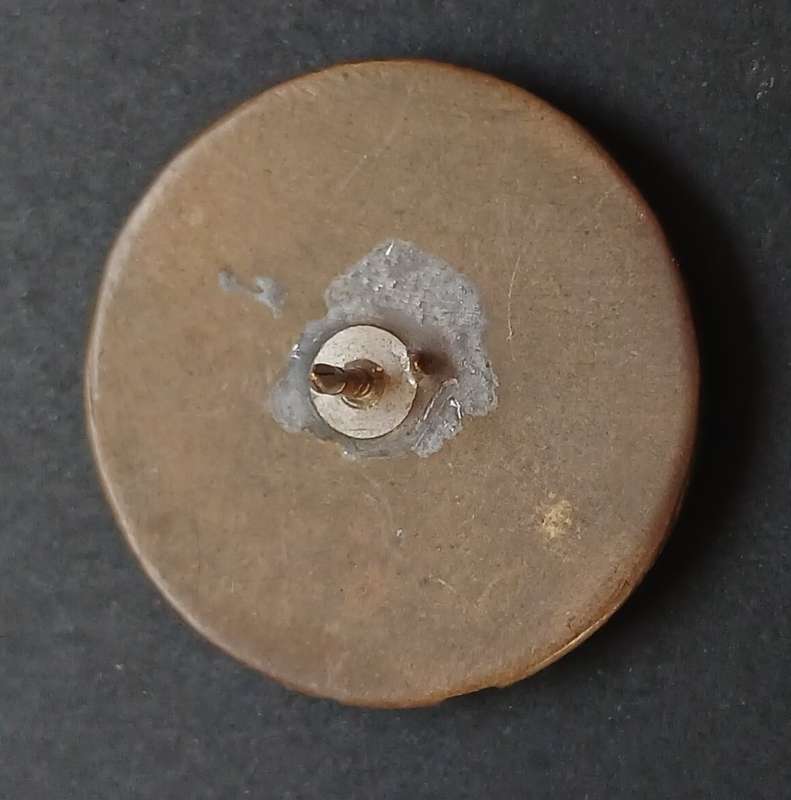 VINTAGE POKEMON CLUB BADGE                             R104
