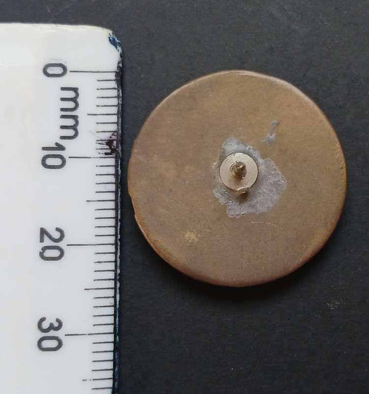 VINTAGE POKEMON CLUB BADGE                             R104