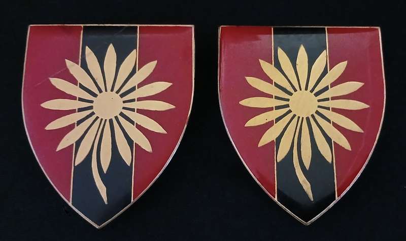 SADF NORTHERN TRANSVAAL COMMND PROVEST UNIT PAIR  ( 2 PINS REPAIRED )          MM29