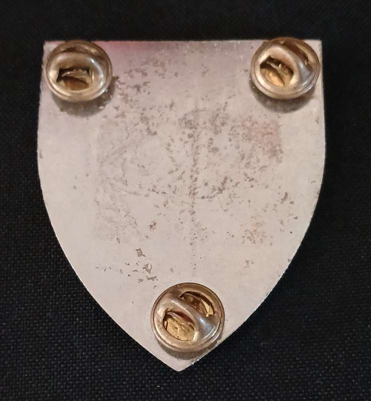 SADF REGIMENT SPRINGS SHOULDER FLASH                      MM37