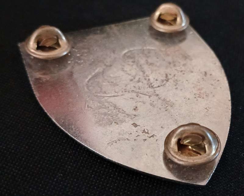 SADF REGIMENT SPRINGS SHOULDER FLASH                      MM37