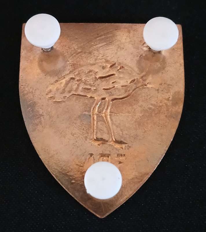 ZAMBIA ARMY 5TH BATTALION SHOULDER FLASH                   MM40
