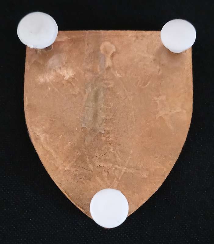 TRANSKEI DEFENCE FORCE SHOULDER FLASH                    MM49