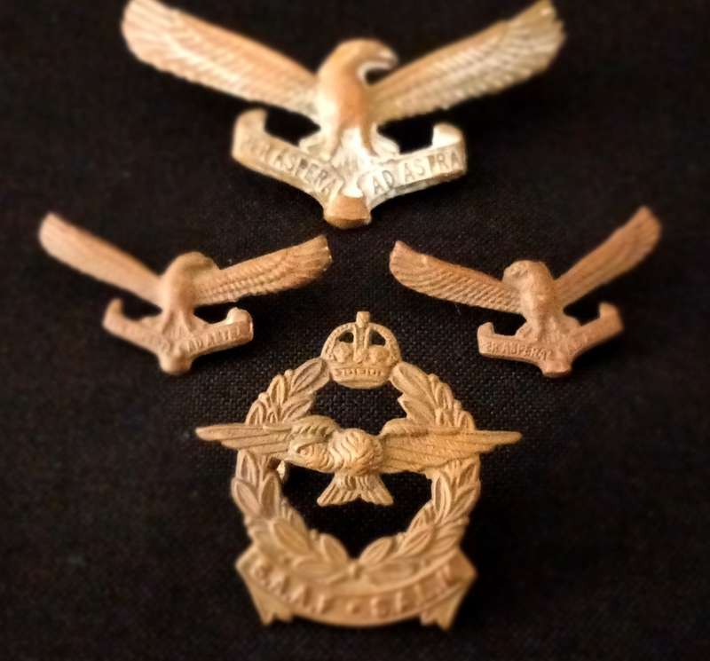 SOUTH AFRICAN AIR FORCE BADGES                             R119