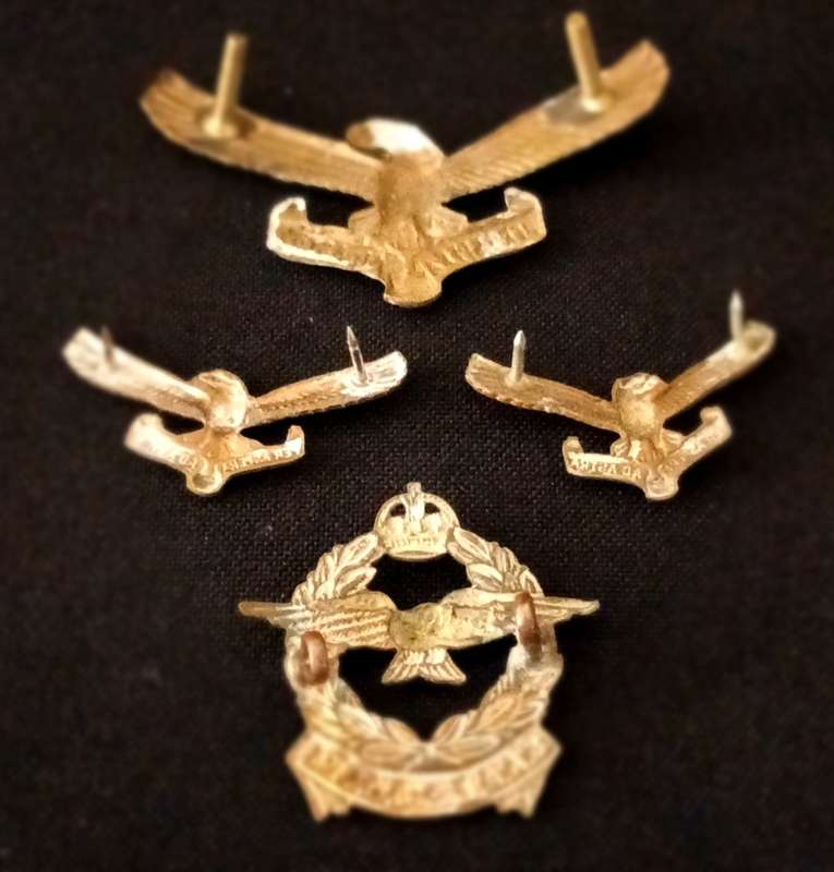 SOUTH AFRICAN AIR FORCE BADGES                             R119
