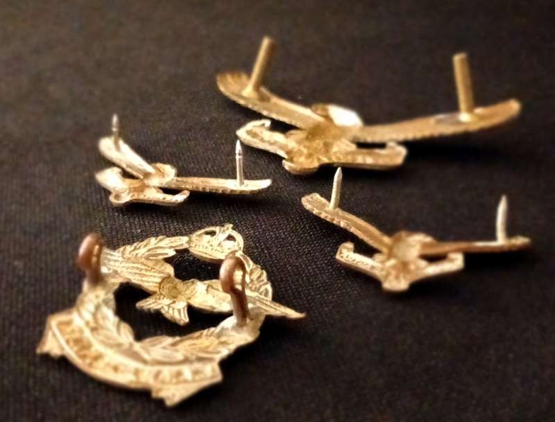 SOUTH AFRICAN AIR FORCE BADGES                             R119