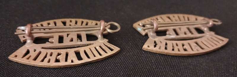 WW1   1ST SOUTH AFRICAN INFANTRY BRIGADE BRASS SHOULDER TITLE PAIR              R144