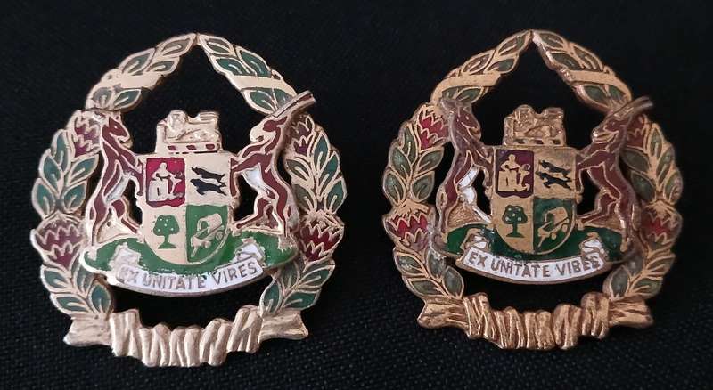 SA Prison Services Warrant Officer Sleeve Rank Badge Pair                  R147
