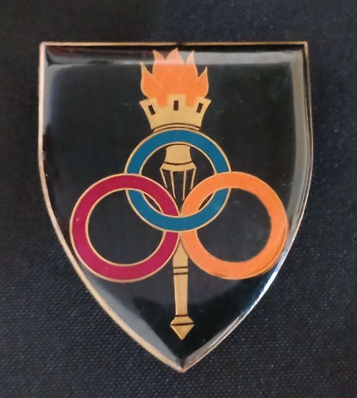 SADF ORDNANCE SERVICES SCHOOP SHOULDER FLASH                           D173