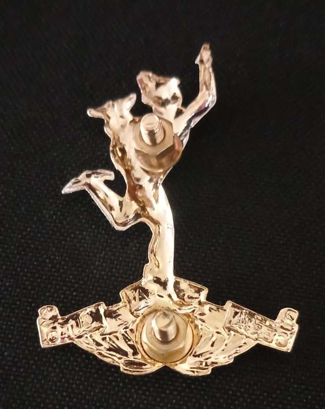 SA CORPS OF SIGNALS-BI-METAL-BERET / CAP BADGE          L22