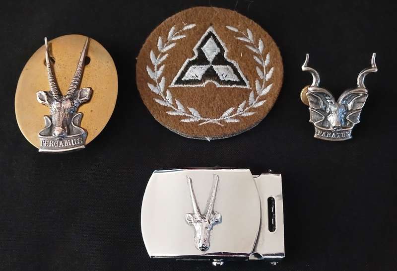 South West Africa Territorial Force (S W A T F) Badges + Belt Buckle   ( One Bid For The Lot )   L25