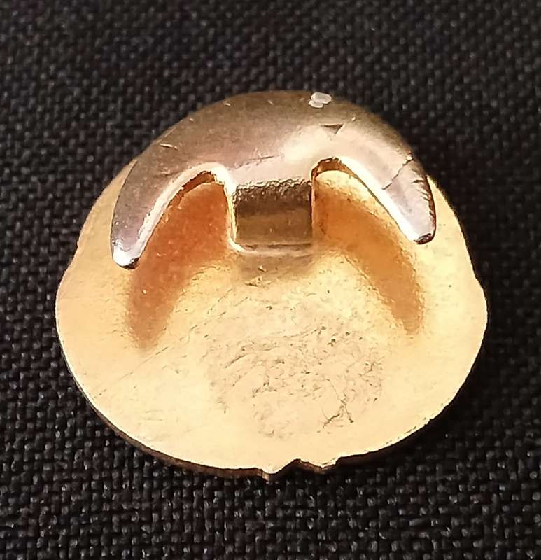 1894  ( UNKNOWN ) SAED & FA - SAM EN SV BUTTON BADGE            L27